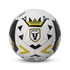 Macarthur FC A-League Soccer Ball
